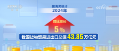 2024年我国外贸进出口成就亮眼 新动能加 2024年我国外贸进出口成就亮眼 新动能加