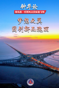 像海燕一样搏风击浪振翅翱翔